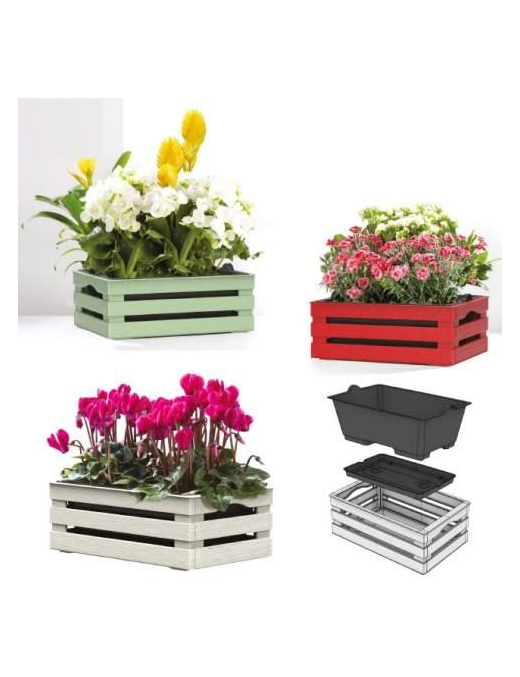 TINA FLOWER ASSORTED BOX 25x15.5x10.5cm