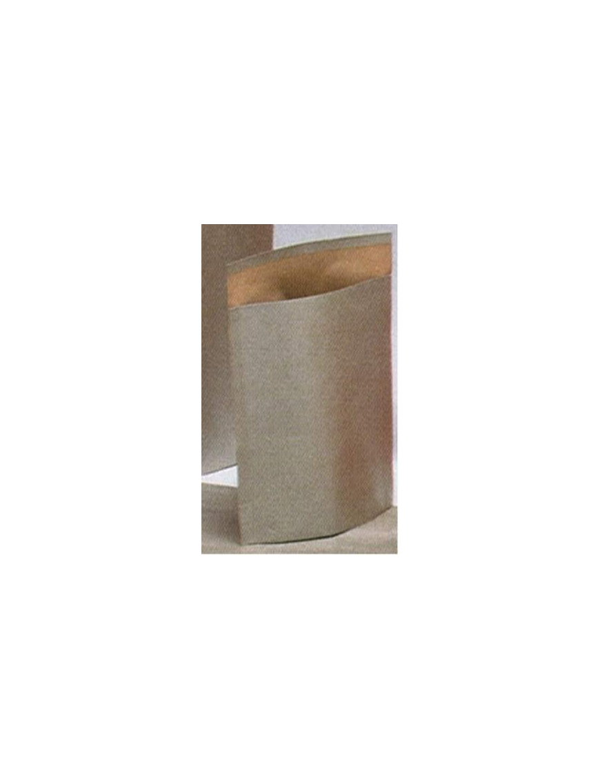 SHOPPER BAGS PLATIN 46 + 15X48,5 50 $$