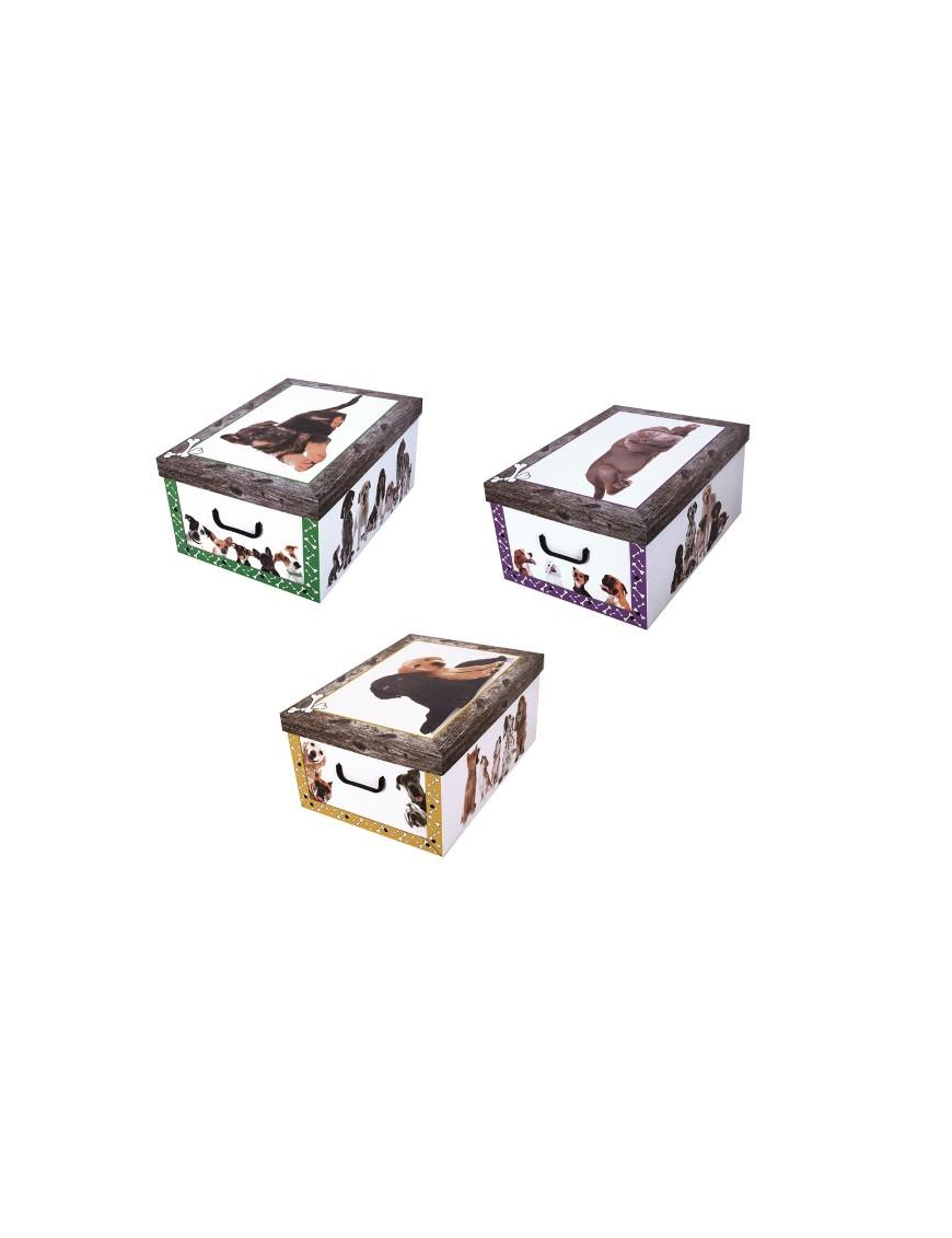 ASSORTED DOG BOX 52x40x25 CENTIMETERS
