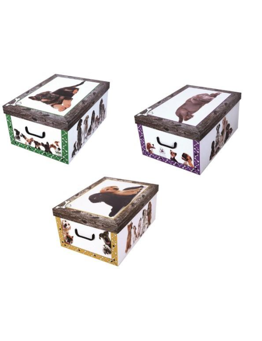ASSORTED DOG BOX 52x40x25 CENTIMETERS