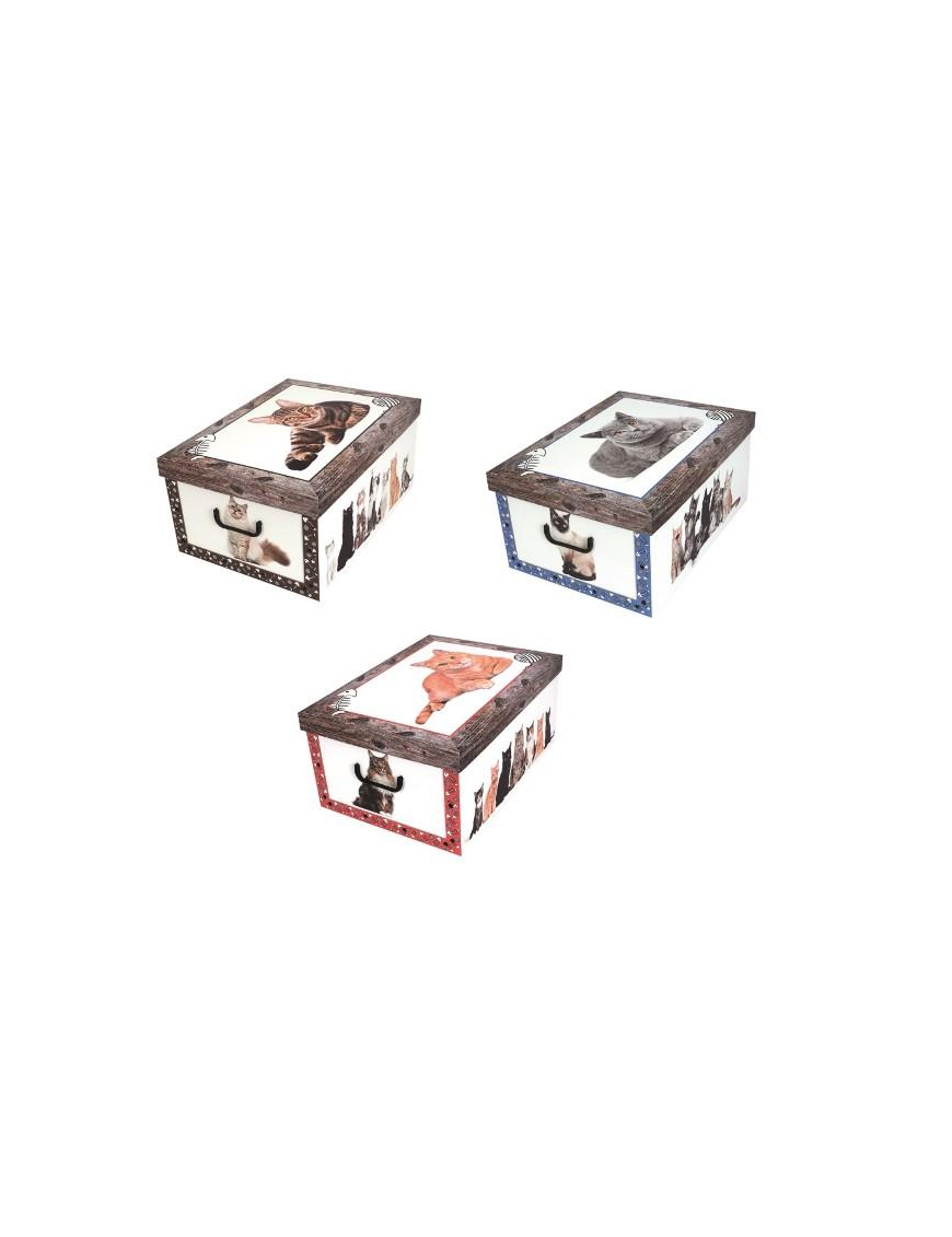 ASSORTED CAT BOX 52x40x25 CENTIMETERS