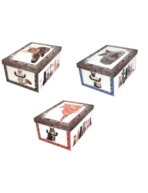 ASSORTED CAT BOX 52x40x25 CENTIMETERS