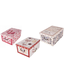 LOVE BOX 52x40x25 ASSORTED