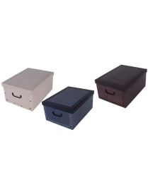 CLASSORTITOIC BOX 52x40x25 ASSORTED