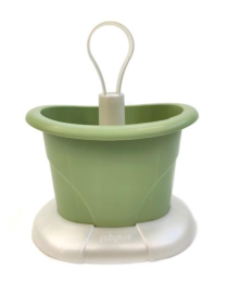 LINEA TULIPANO SCOLAPOSATE VERDE