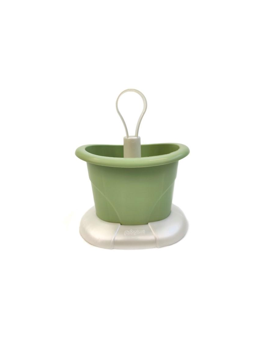 LINEA TULIPANO SCOLAPOSATE VERDE