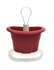 LINEA TULIPANO SCOLAPOSATE ROSSO