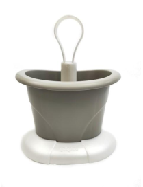 LINEA TULIPANO SCOLAPOSATE TORTORA
