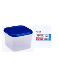 SQUARE FRIDGE BOX 2.5lt.
