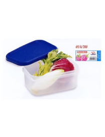 FRIGO BOX RETTANGOLARE 2lt ALTO