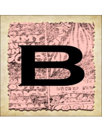 SPRINT LETTERING VINTAGE 16x16cm "B"$$