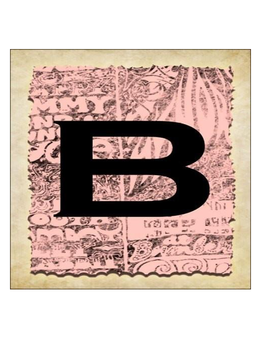 VINTAGE SPRINT LETTERING 16X16CM "B" $$