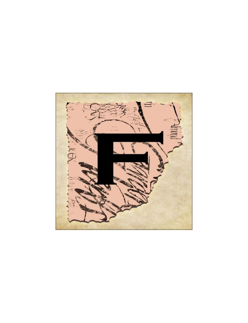 VINTAGE SPRINT LETTERING 16X16CM "F" $$