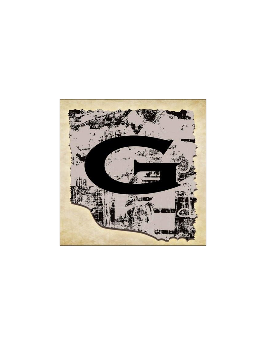 VINTAGE SPRINT LETTERING 16X16CM "G" $$