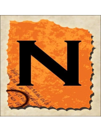 VINTAGE SPRINT LETTERING 16X16CM "N" $$