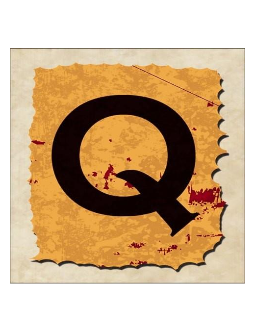 VINTAGE SPRINT LETTERING 16X16CM "Q" $$