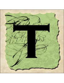 SPRINT LETTERING VINTAGE 16x16cm "T"$$