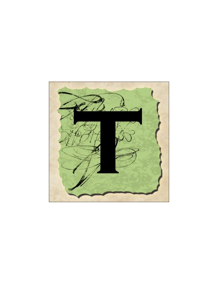 VINTAGE SPRINT LETTERING 16X16CM "T" $$
