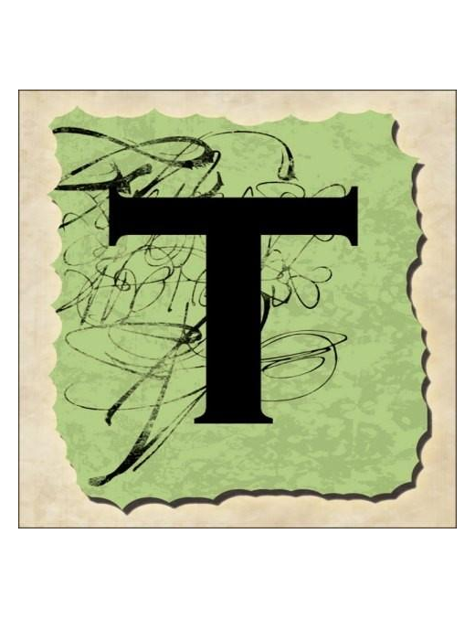 SPRINT LETTERING VINTAGE 16x16cm "T"$$