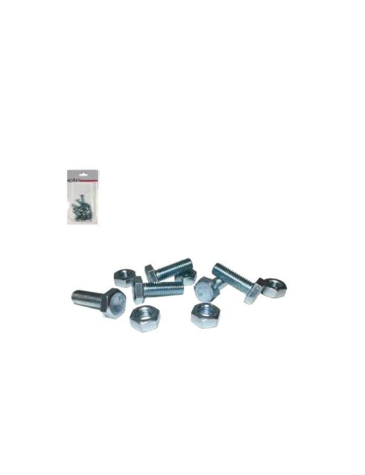 VITI 10 PEZZI M6X20