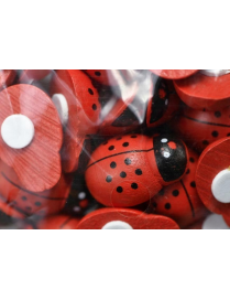 LADYBIRD 18 MM DOUBLE-SIDED ADHESIVE 80 PIECES