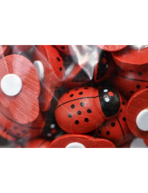 LADYBIRD 18 MM DOUBLE-SIDED ADHESIVE 80 PIECES