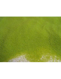 DECOR SAND 0.4-0.7 GREEN 1 KILOGRAM