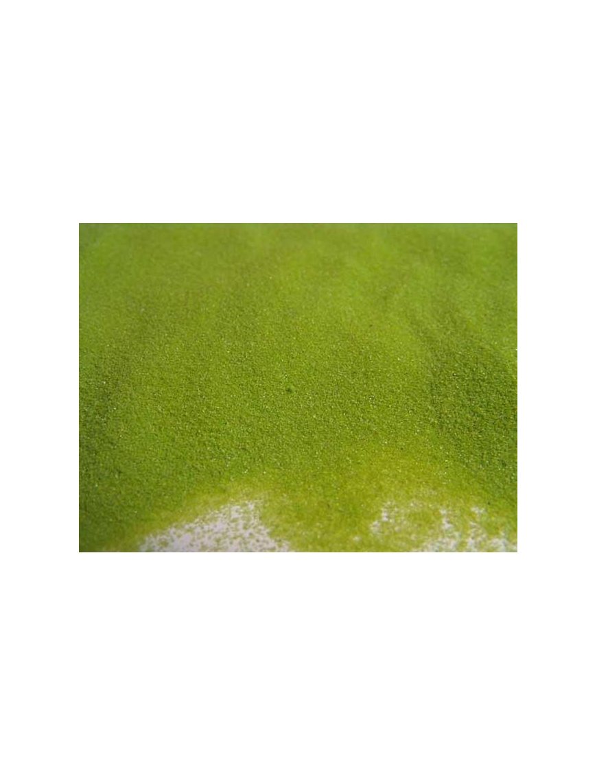 SABBIA DECOR 0,4-0,7 VERDE 1 KILOGRAMMO