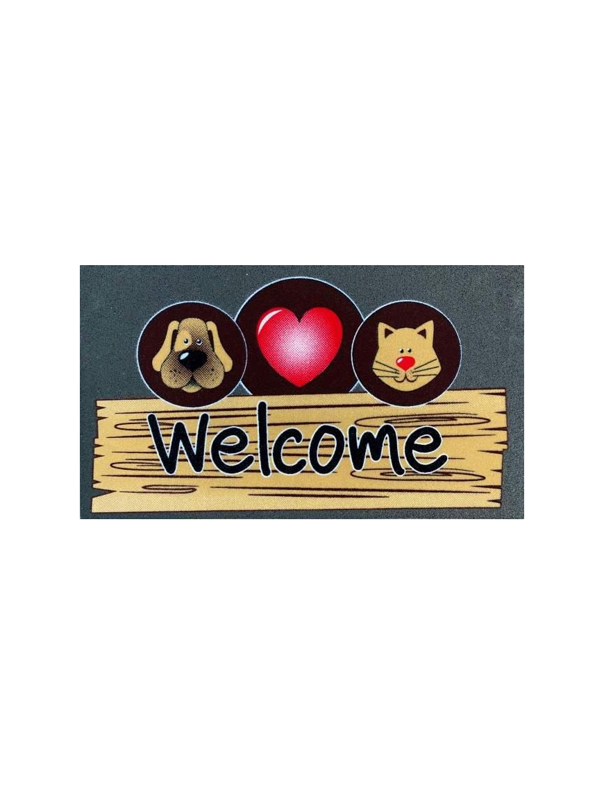 FLOMAT DOORMAT 40x70 CENTIMETERS ASSORTED COLORS AND DESIGNS