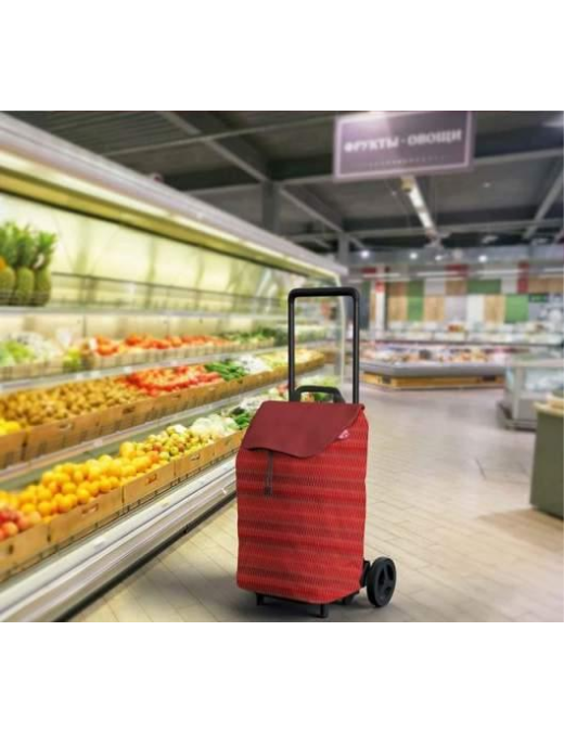 CARRELLO SPESA EASY NEW ROSSO 40lt