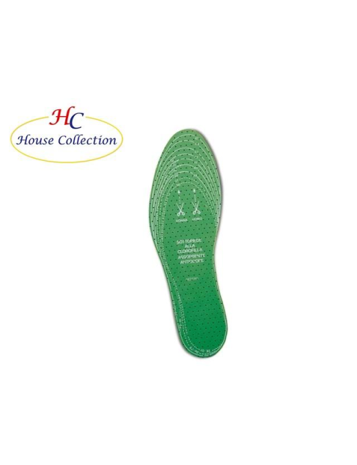 SOLETTA CLOROFILLA (blister 1paio)