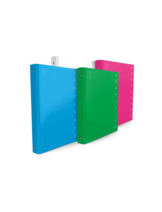 CARTELLA AD ANELLI A4 COLORI ASSORTITI