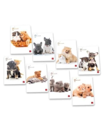QUADERNO MAXI DOLCI CUCCIOLI 42 FOGLI 80gr
