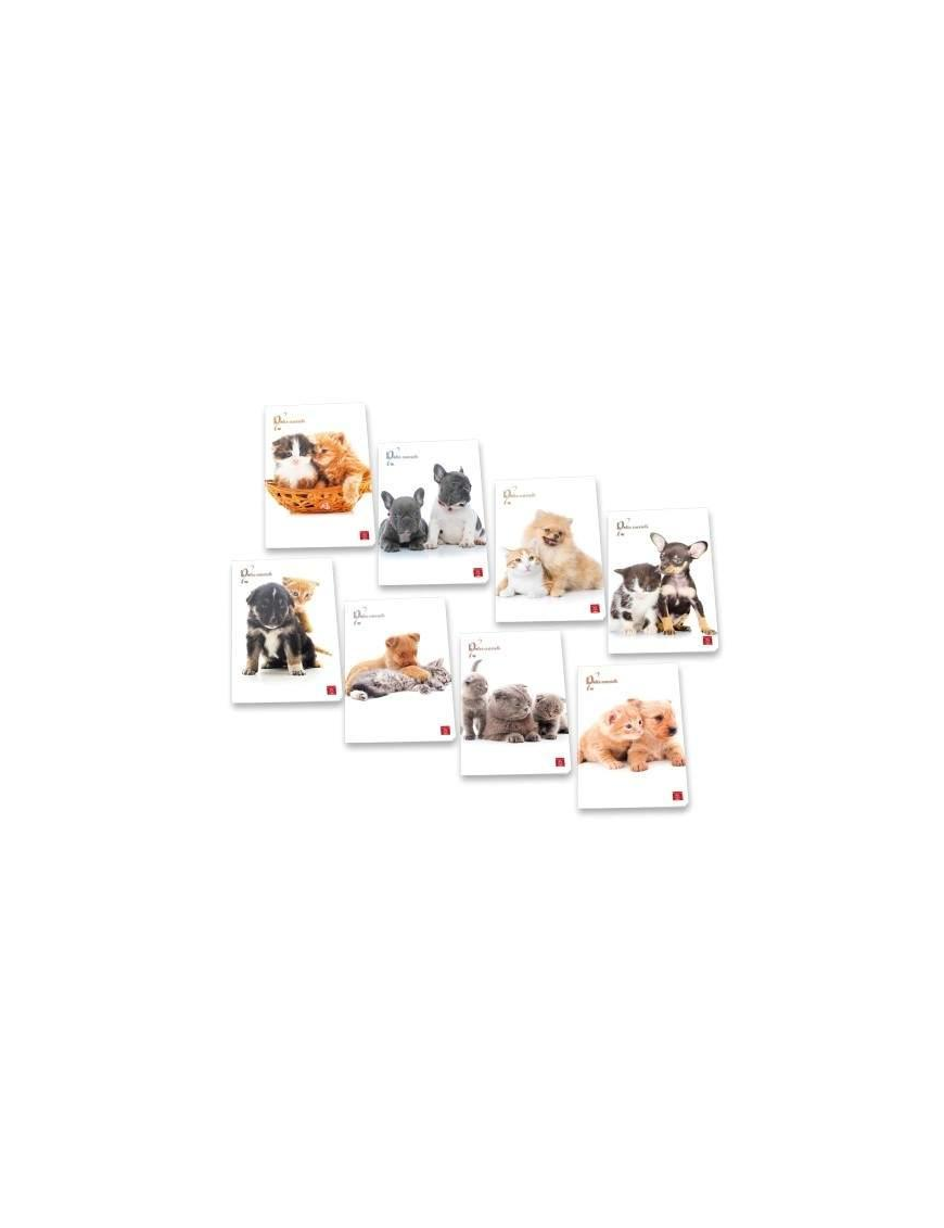 QUADERNO MAXI DOLCI CUCCIOLI 42 FOGLI 80gr