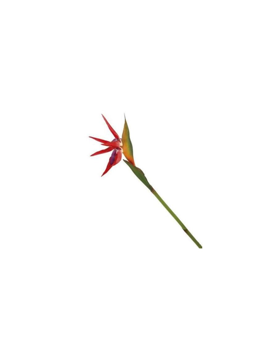 STELO STRELITZIA 80 CENTIMETRI