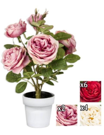 PIANTA  GR. ROSA OPEN 45cm GYI56162 $$