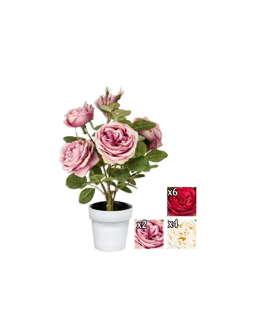 PIANTA  GR. ROSA OPEN 45cm GYI56162 $$