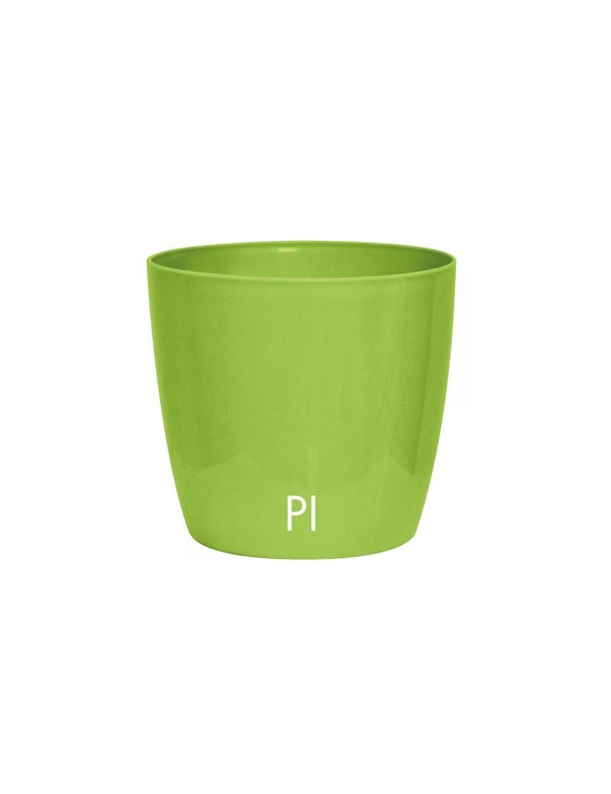 VERVE VERDE PISTACCHIO VASO 15 CENTIMETRI