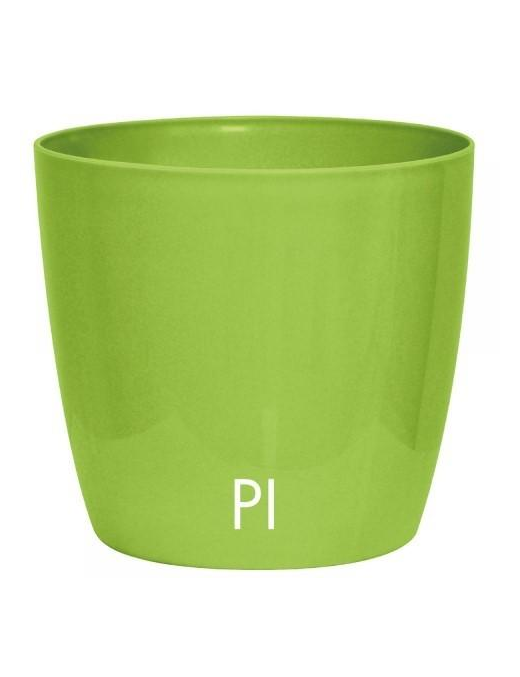 VERVE VERDE PISTACCHIO VASO 15 CENTIMETRI