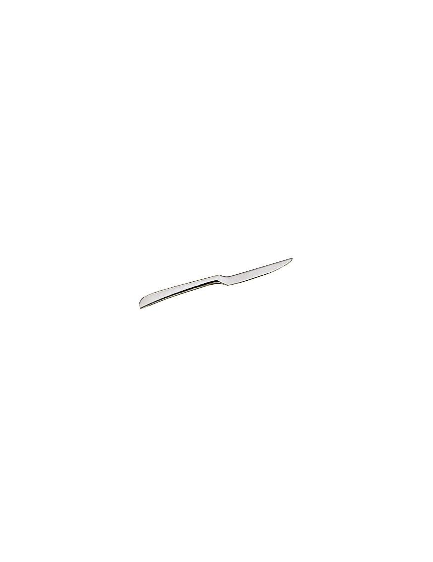 STEAK KNIFE CUTLERY