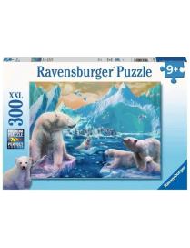 PUZZLE  300pezzi REGNO ORSO POLARE