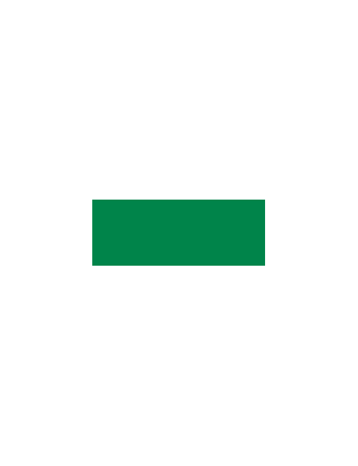 ACRICOLOR 400ml RAL6029 VERDE MENTA