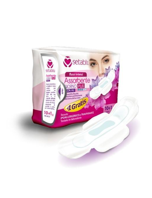 DAY PADS WITH WINGS PLUS 11 PIECES