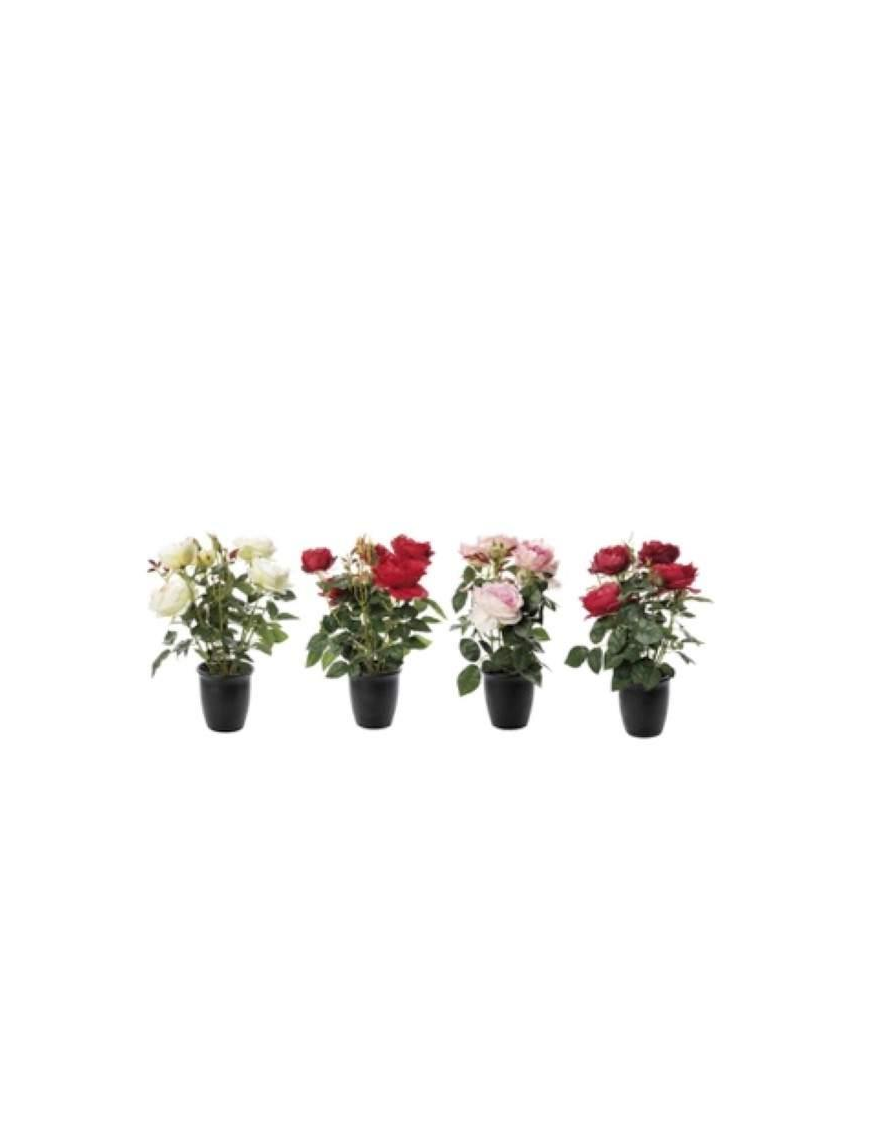 VASO CON ROSE 13x44 CENTIMETRI
