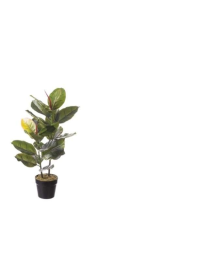 PIANTA ARTIFICIALE FICUS 65 CENTIMETRI