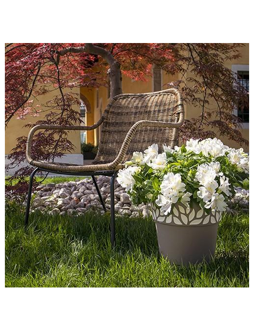 GAIA VASE diameter 25 TAUPE WITH WATER RESERVE