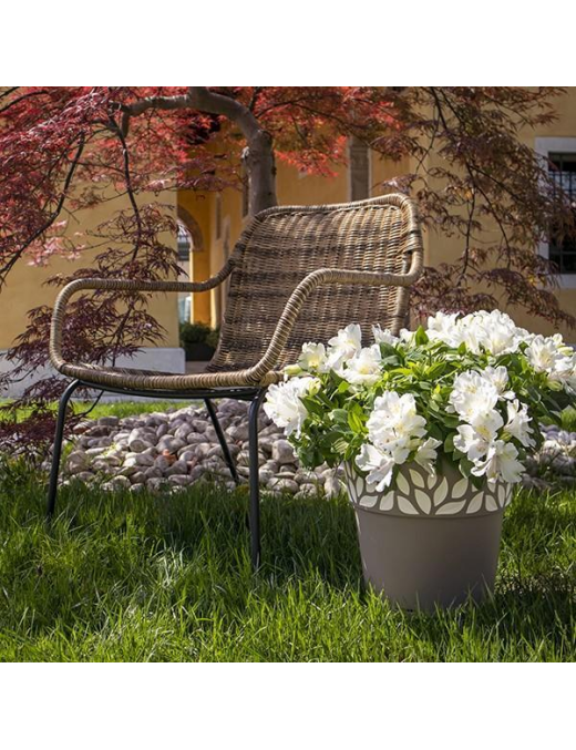CLOE VASE diameter 25 TAUPE WITH WATER RESERVE