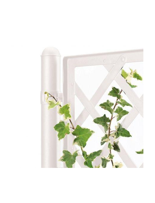 FIORIERA DELUXE CON SPALLIERA 43x43x142cm BIANCO