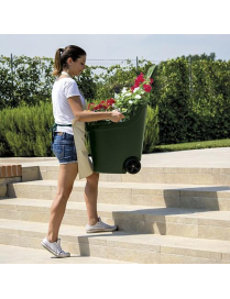 CARRELLO HELPY 59x53x88 VERDE BRUNO