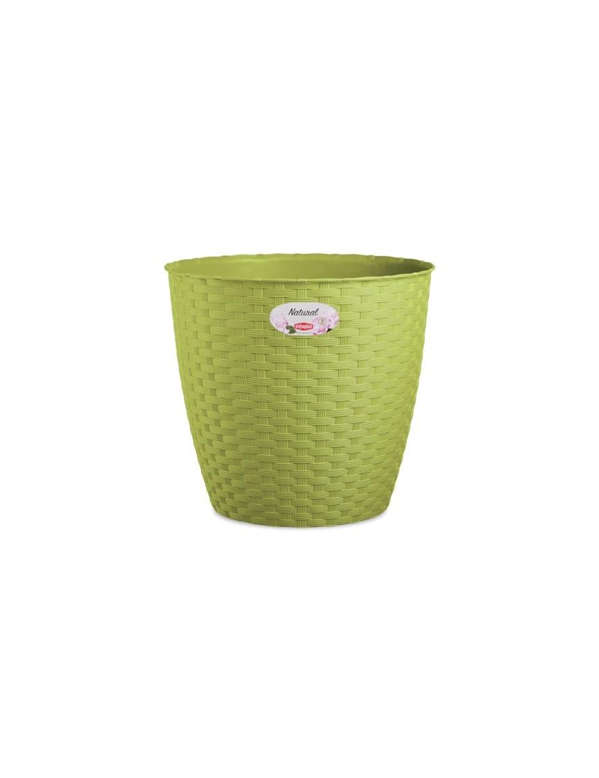 JAR NATURAL 29CM GREEN PISTACHIOS 7354